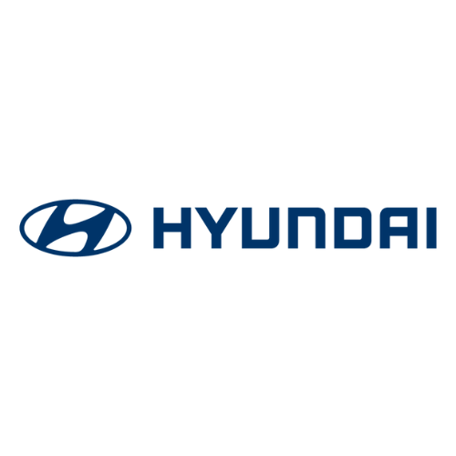 AutoSock est reconnu et approuvé selon les normes internes de Hyundai